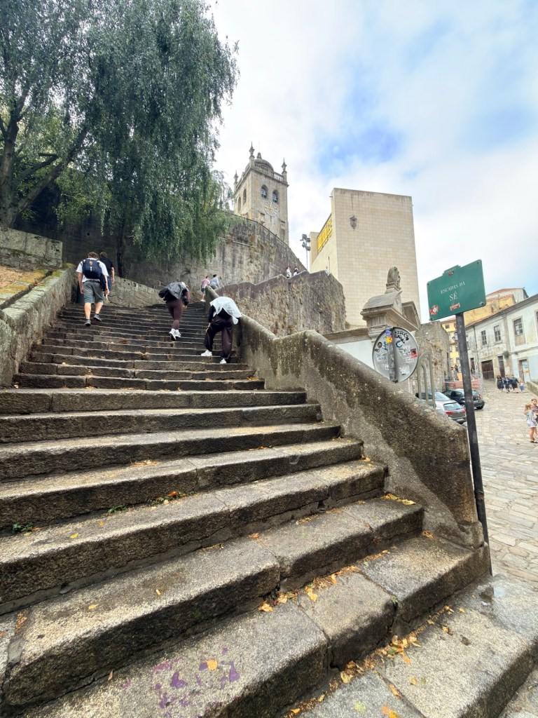 Stone steps leading upwards with people walking on them, surrounded by greenery and buildings.