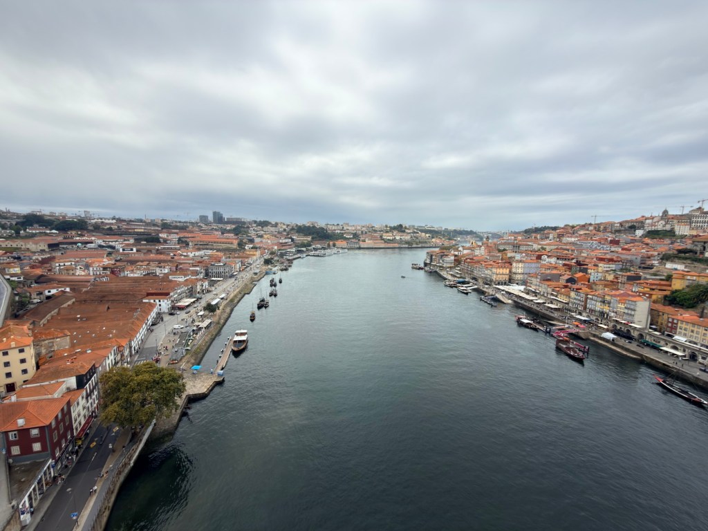 A panoramic view of a river lined with buildings featuring red rooftops, under a cloudy sky. Boats are visible on the water, with a waterfront promenade and green trees along the banks.