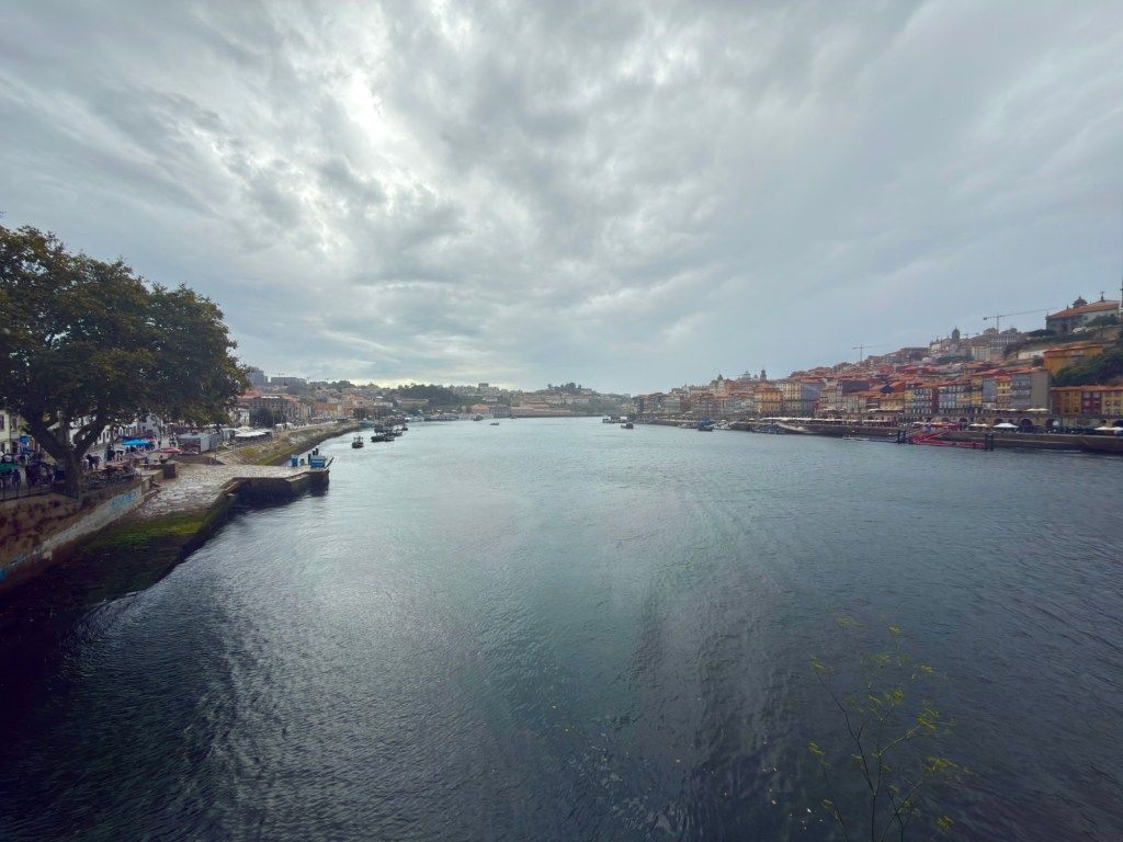 View of a river lined with colorful buildings under a cloudy sky.
