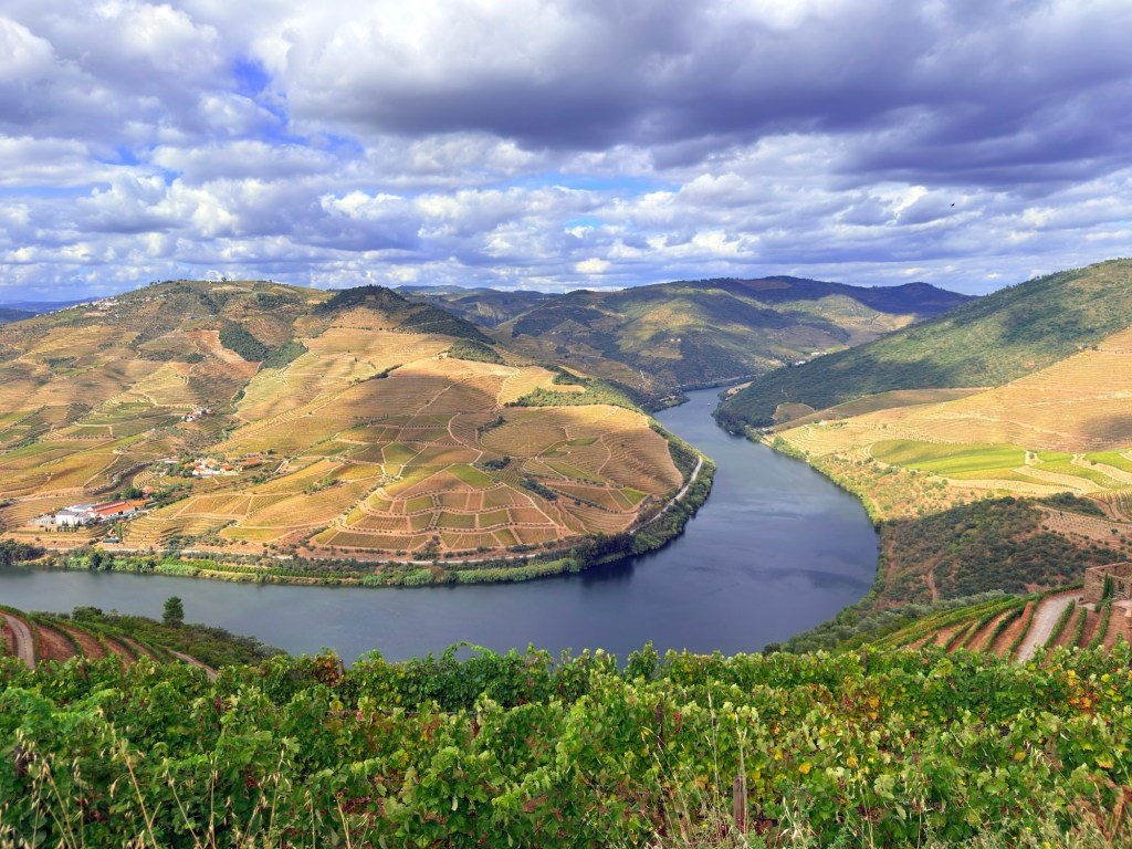 Day 8: hiking a&nbsp;vineyard